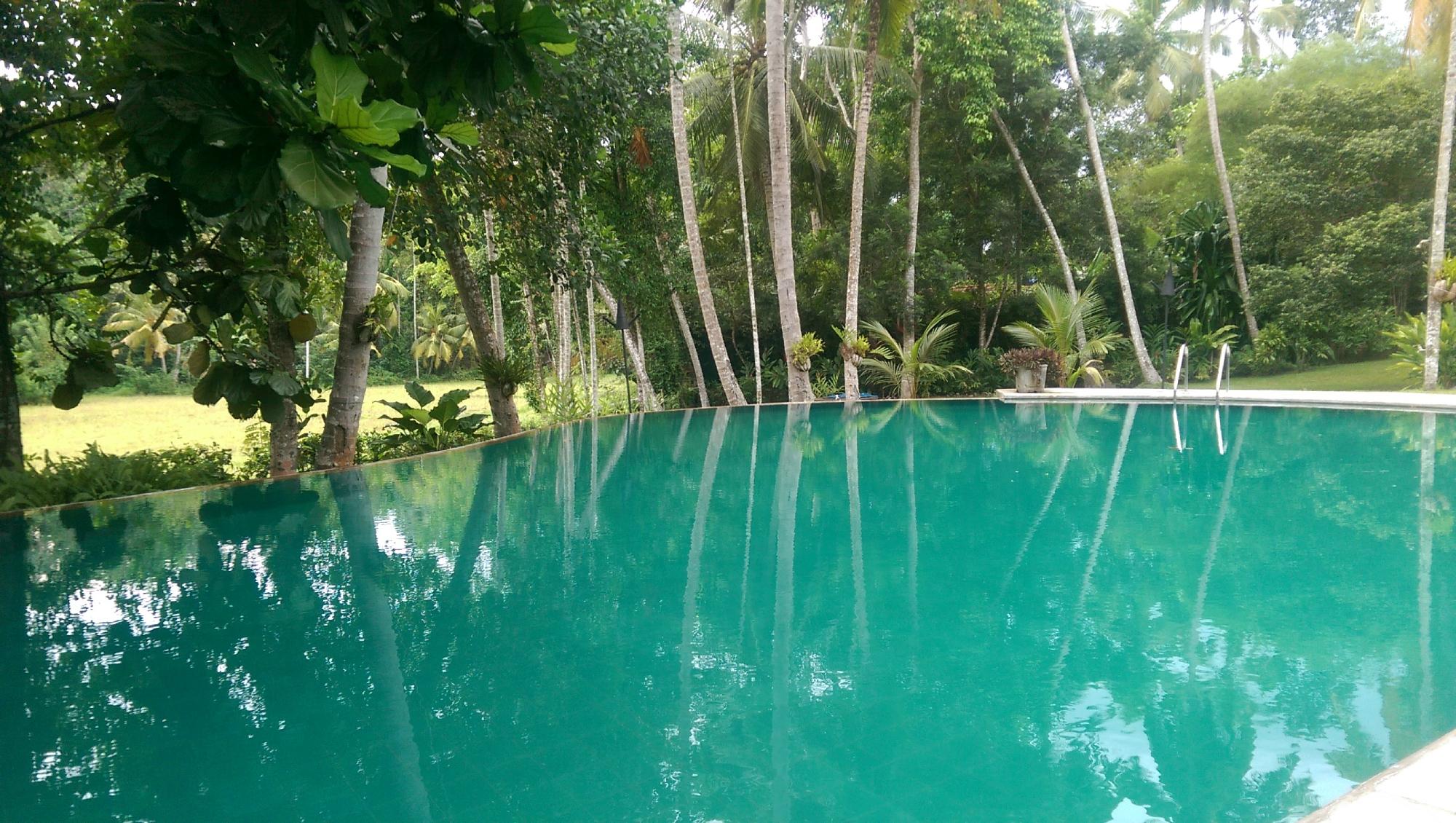 The Garden House-泳池