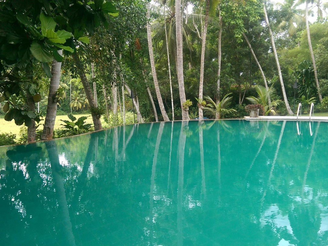 The Garden House主图