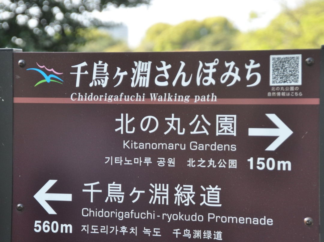 Chidorigafuchi Promenade景点图片