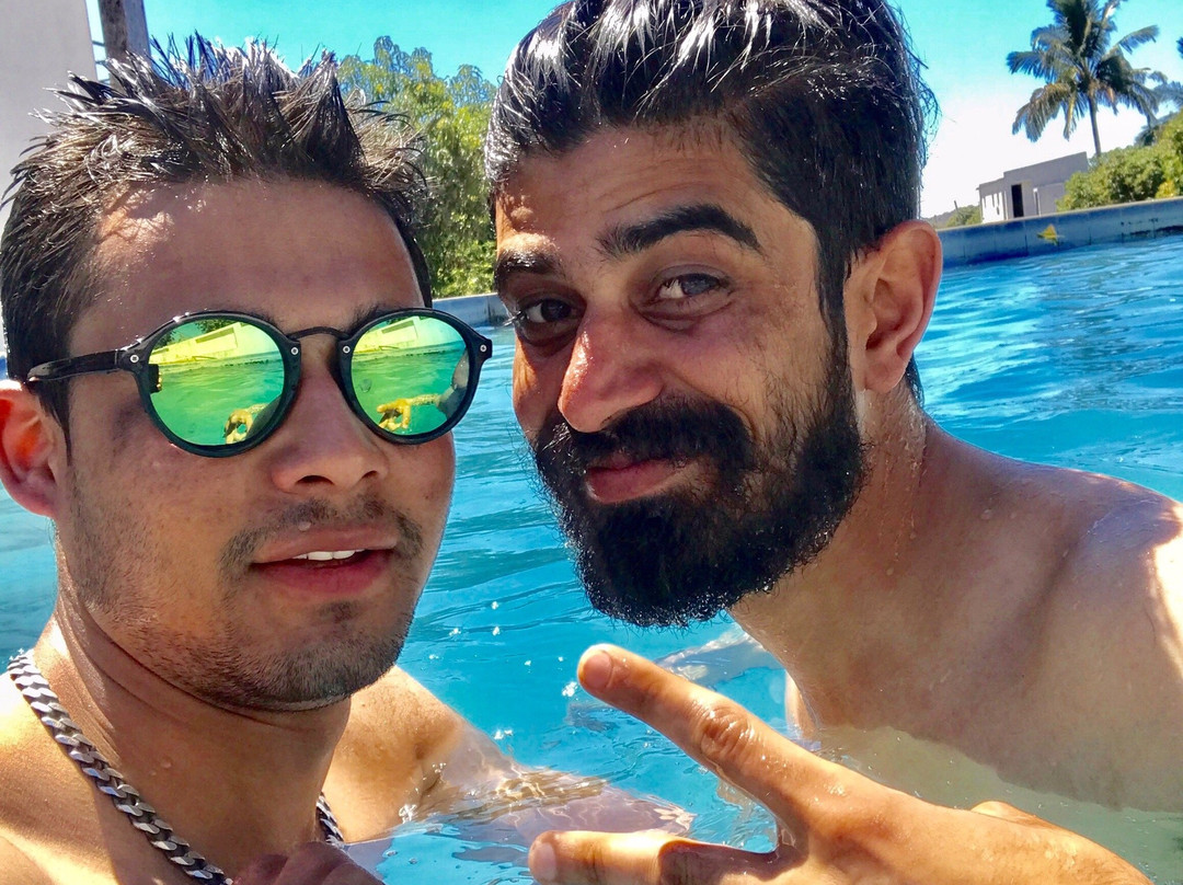 The Gir Garden主图