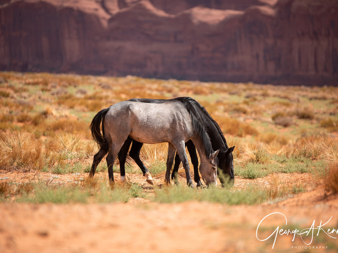 Arizona Luxury Expeditions - Monument Valley