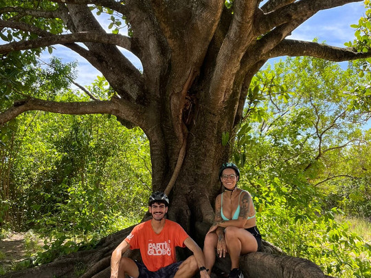 Trilhas Porto de Galinhas-嘎林海斯港必去景点