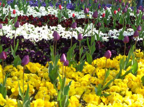 布达佩斯动植物园-布达佩斯必去景点