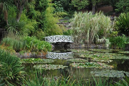 塔斯马尼亚皇家植物园-霍巴特必去景点
