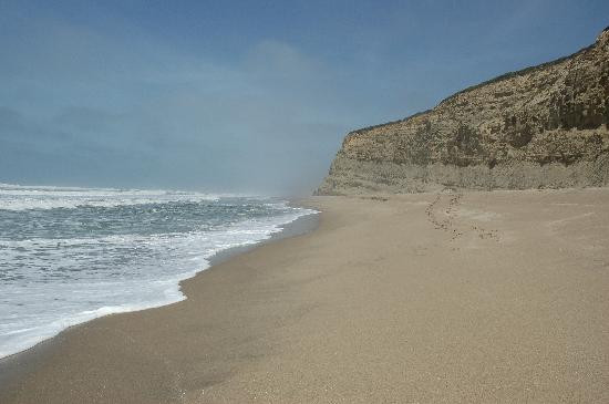 Pescadero State Beach-半月湾必去景点