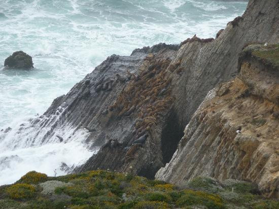 Point Arena Lighthouse景点图片
