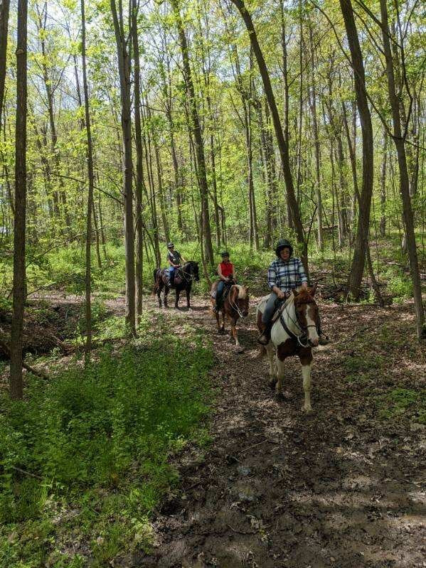 Letchworth Farm主图