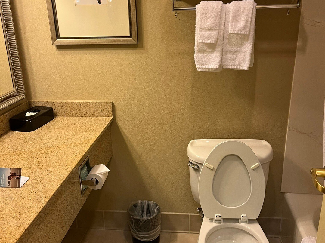 曼彻斯特机场乡村套房酒店主图