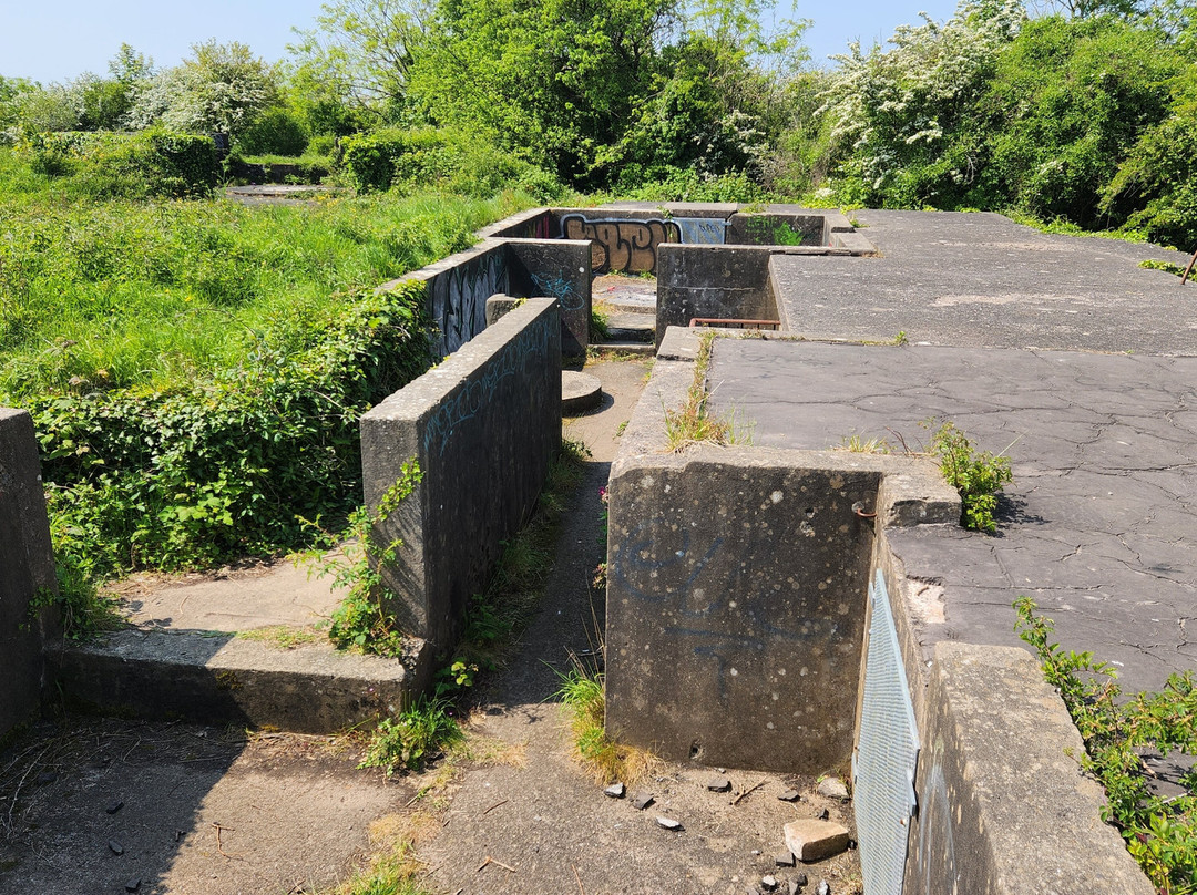 Lavernock Point - Penarth nature reserve景点图片