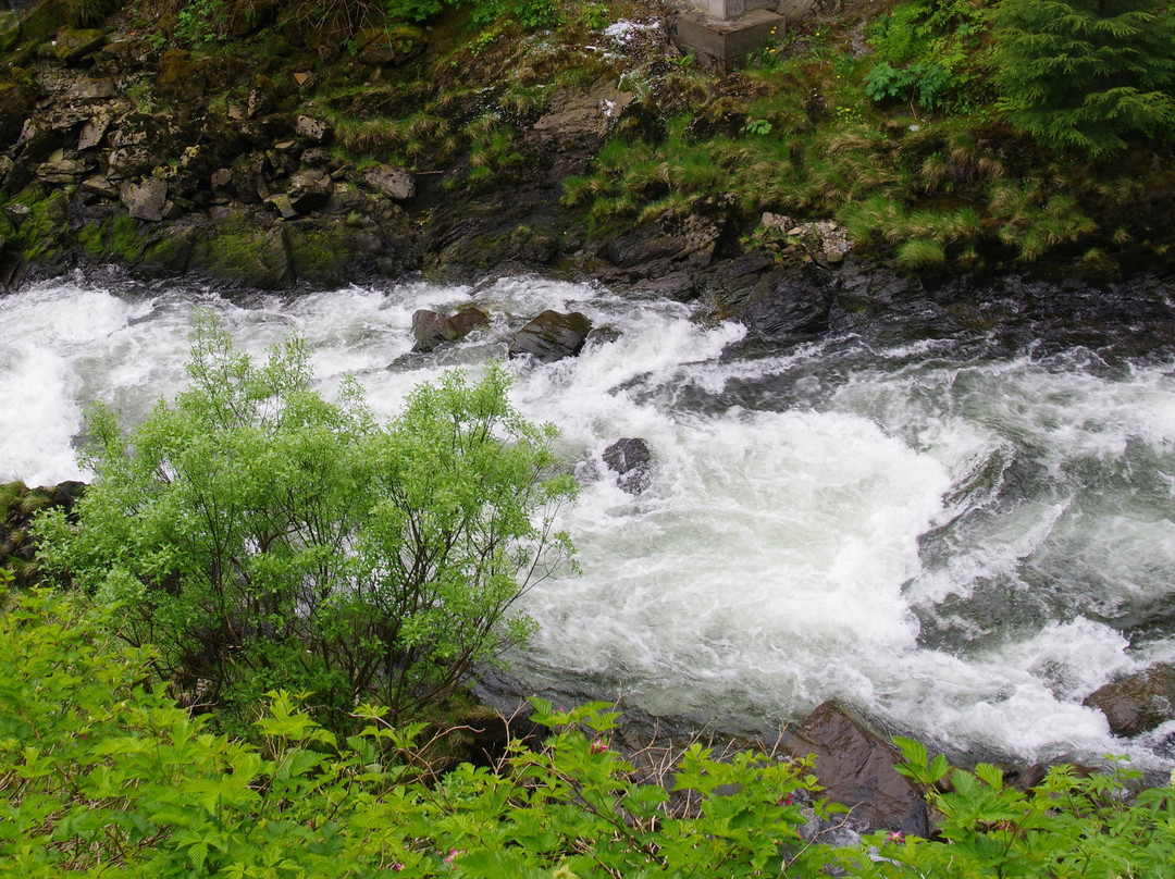 Ketchikan creek and falls-凯奇坎必去景点