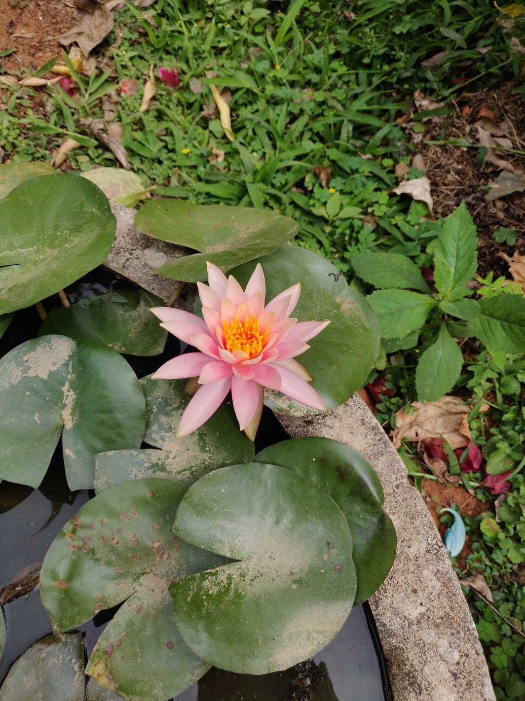 Swastha Homestay-官方