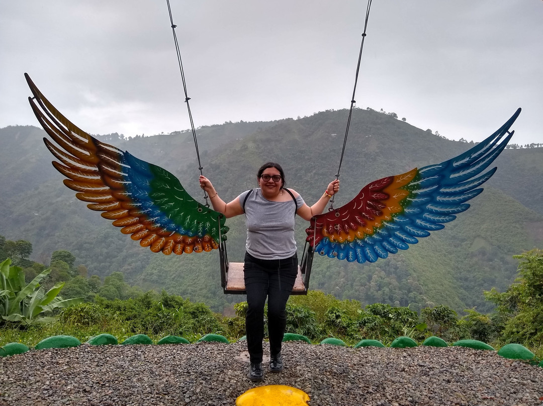 Ceiba de la Libertad