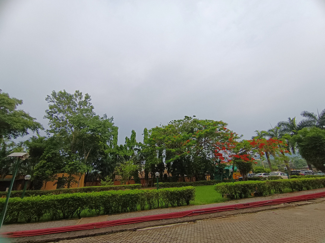 高哈蒂姜之栈酒店主图