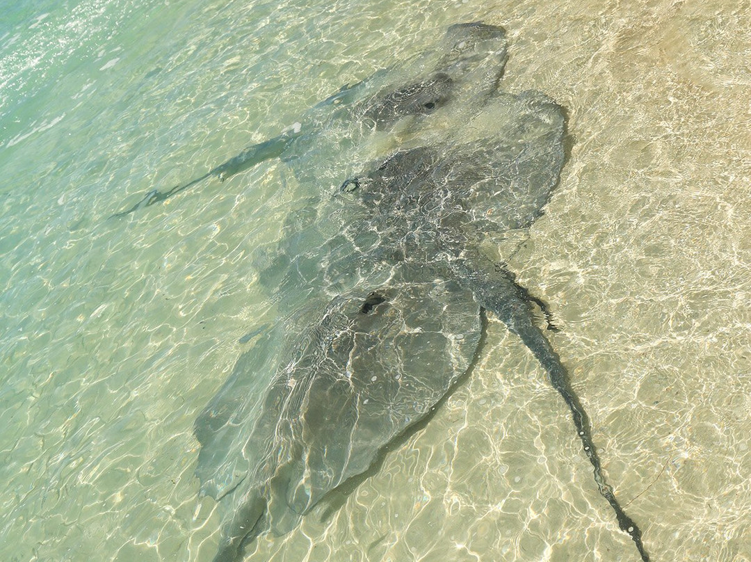 Exuma Boat Rentals景点图片