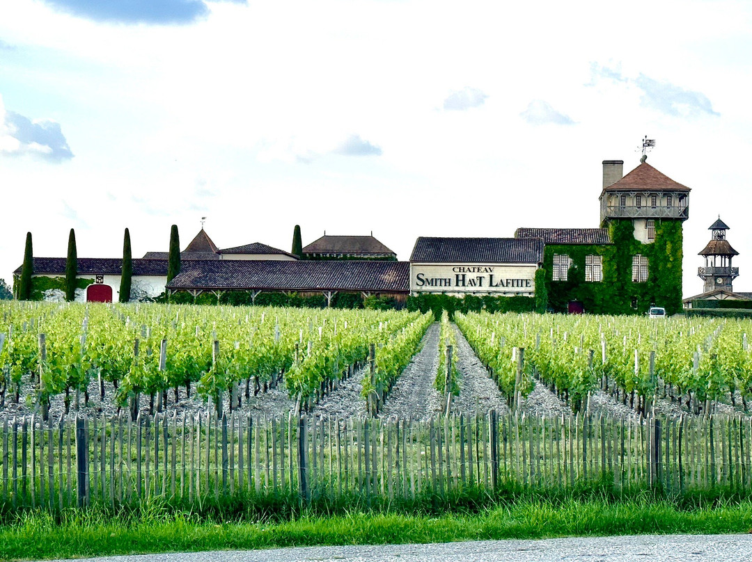 Chateau Smith Haut Lafitte-马尔迪亚克必去景点