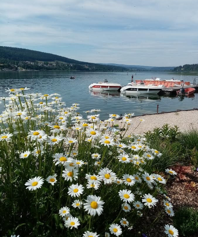 Lac de Saint-Point-Saint-Point-Lac必去景点