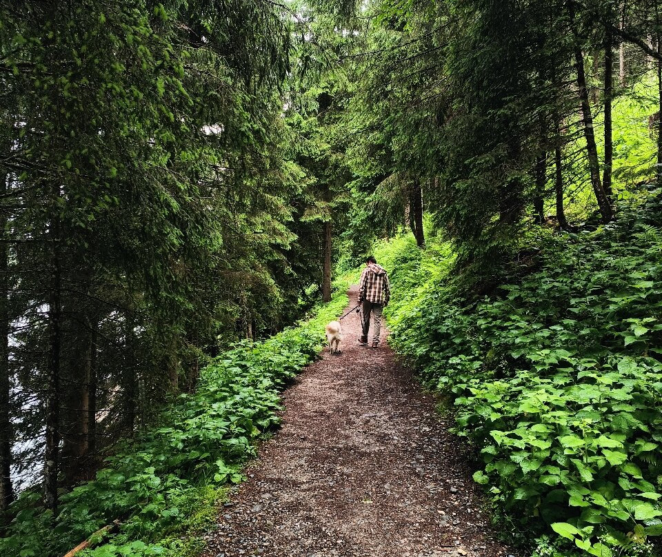 Stausee Durlassboden-加洛斯必去景点