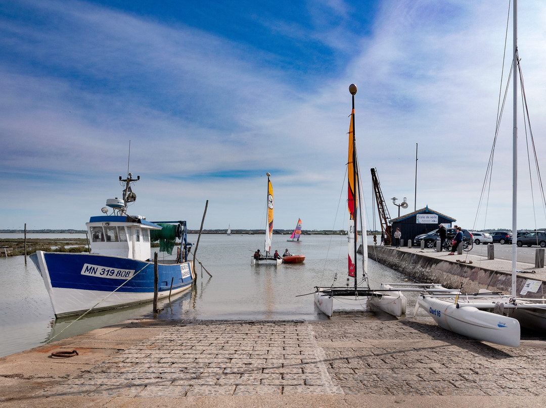 Port Ostréïcole De Marennes景点图片