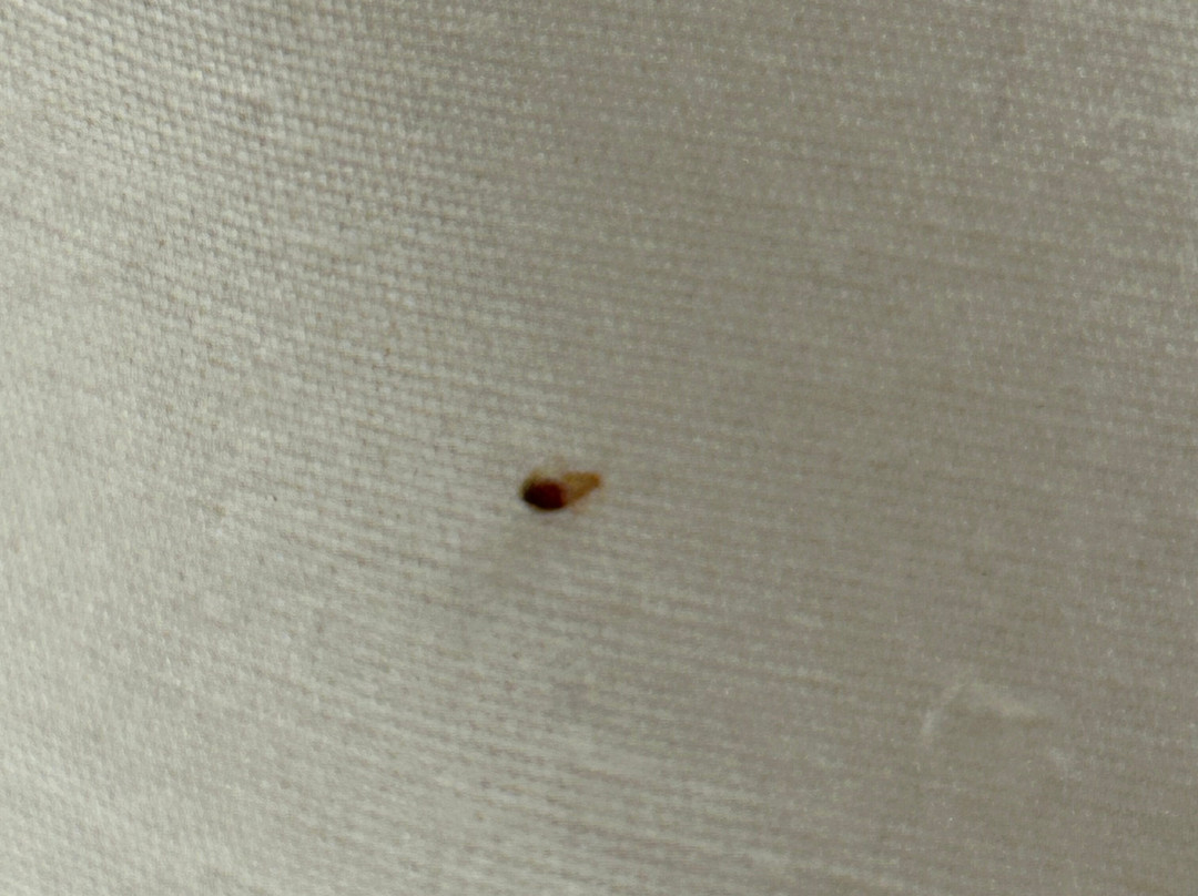 The Sturgis Motel主图