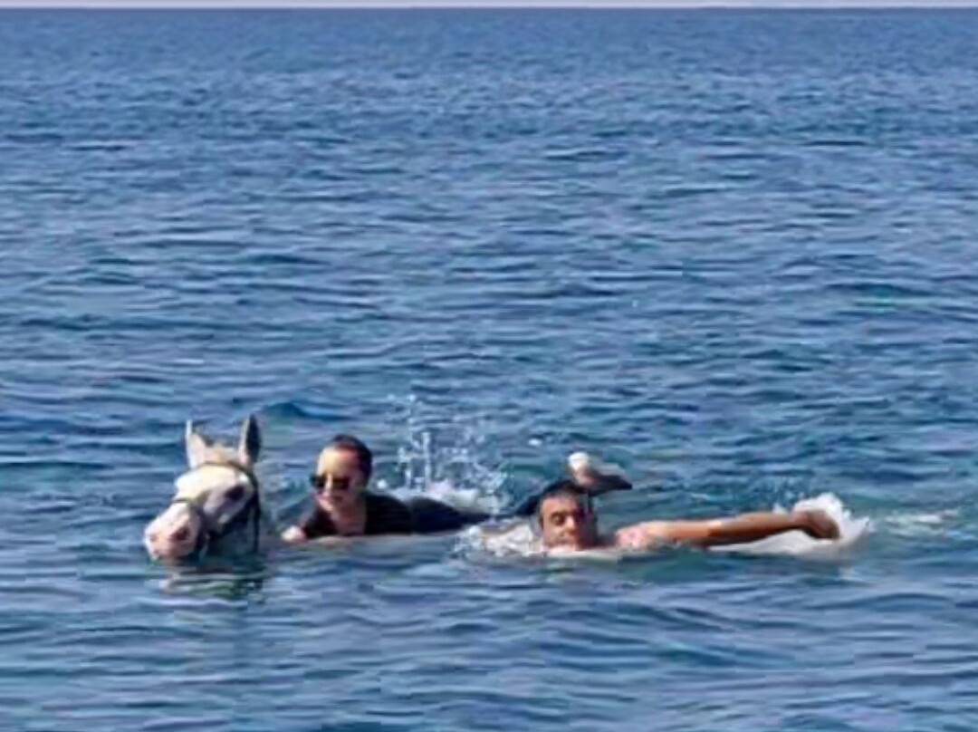 Ippikos Omilos Kalamatas-卡拉马塔必去景点