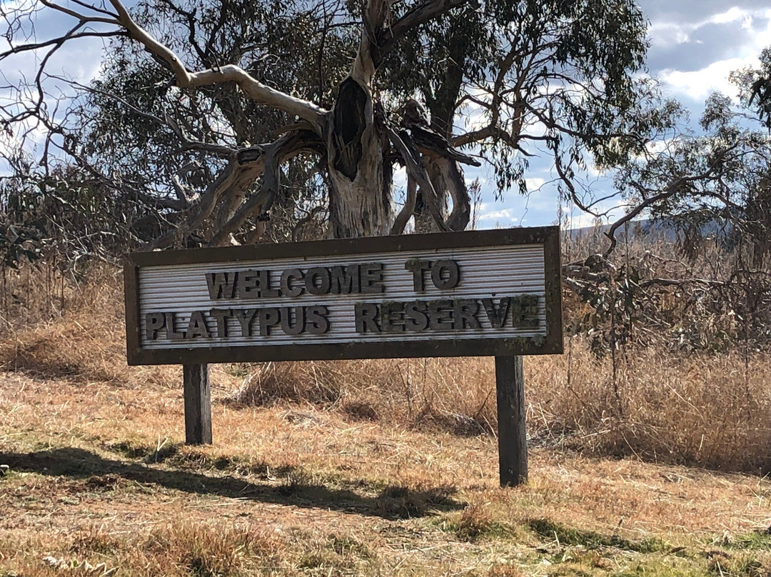 Bombala Platypus Reserve-Bombala必去景点