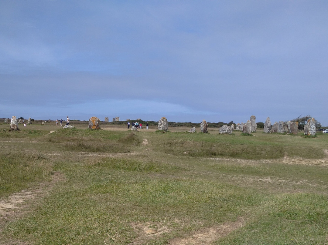 Menhirs de Lagatjar景点图片