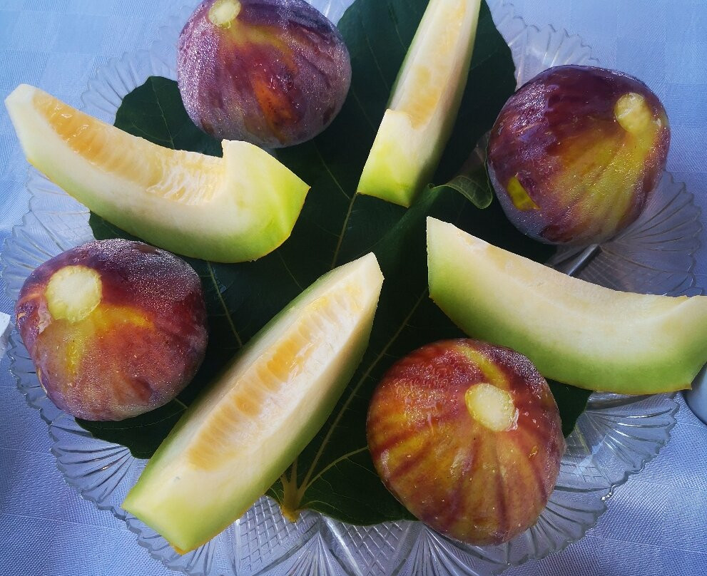 德米特民宿主图