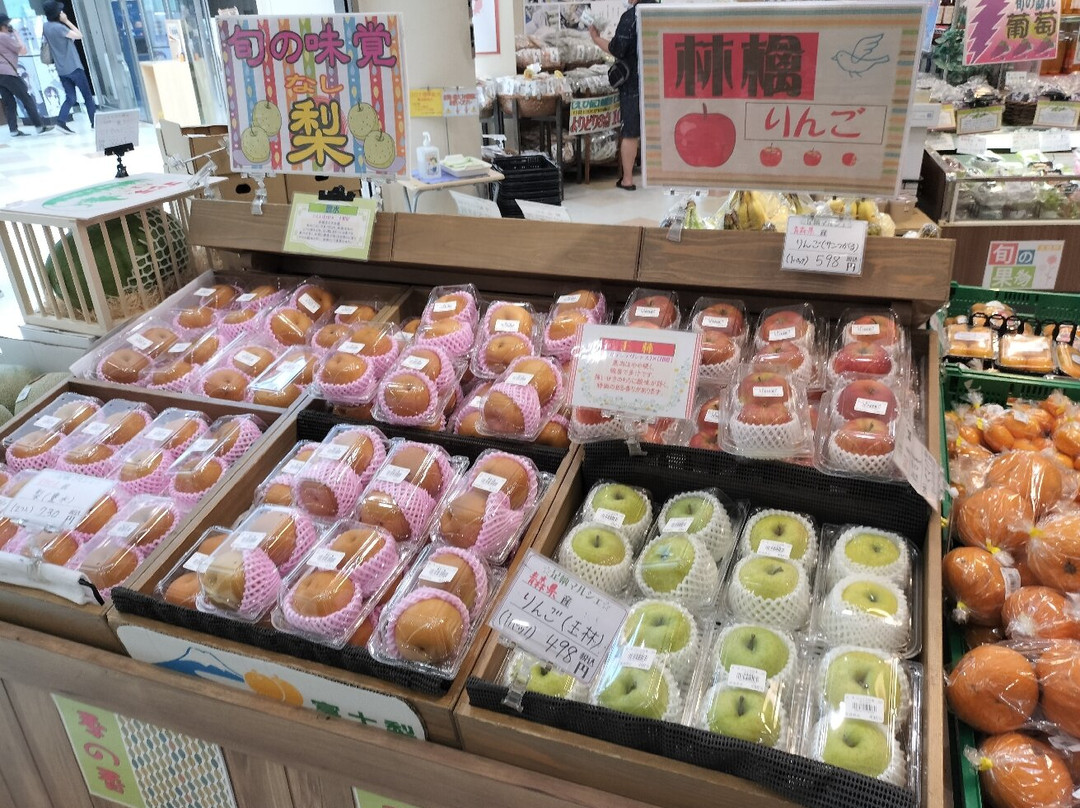 Ashigara Service Area Outbound Line-小山町必去景点