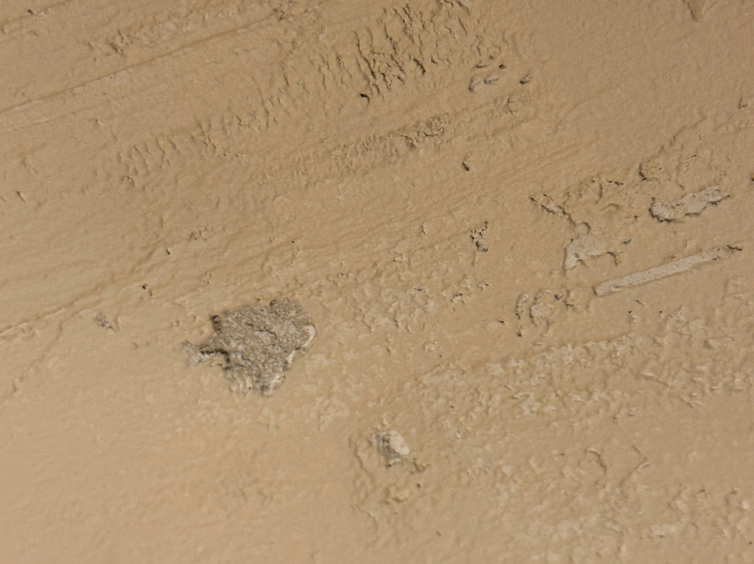 白脸小木屋主图