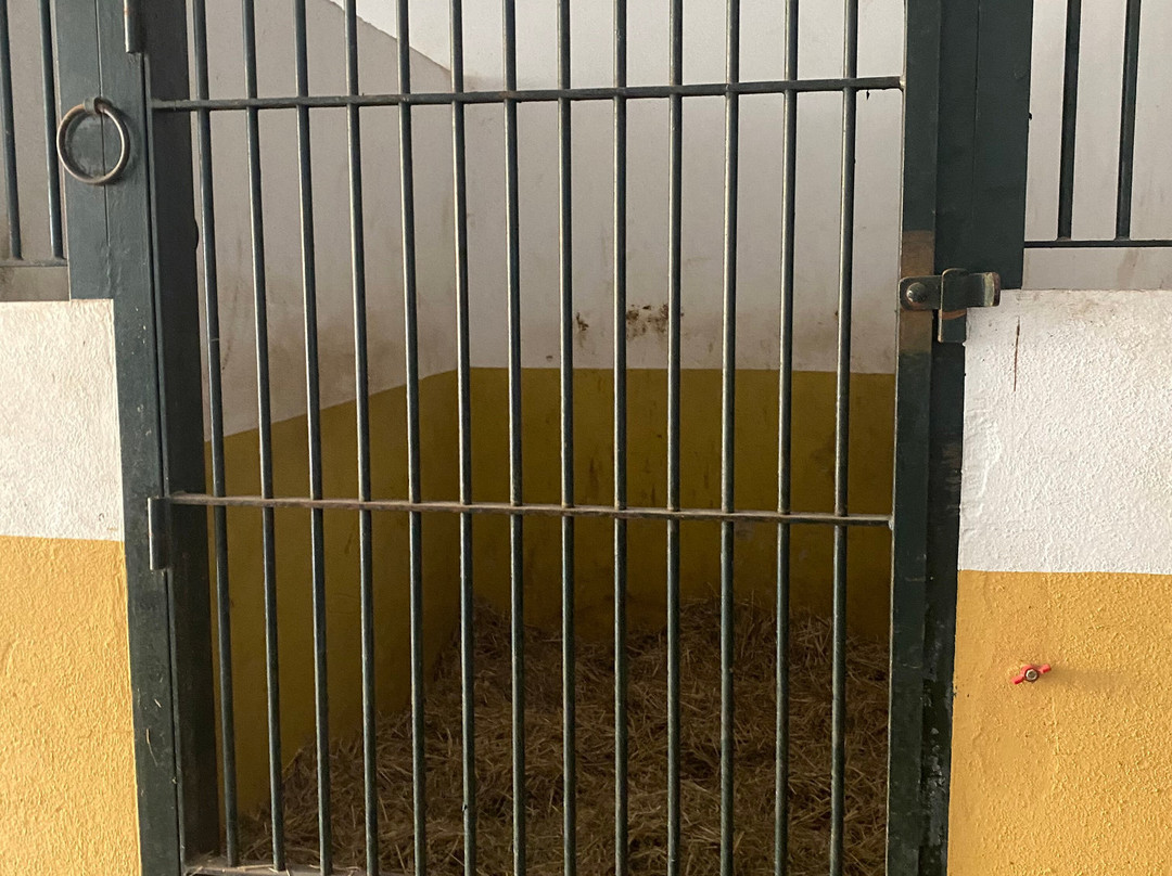 Casa Rural Arenas de El Rocio主图