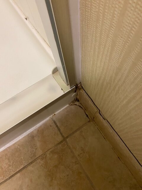 Homewood Suites by Hilton Birmingham-SW-Riverchase-Galleria主图