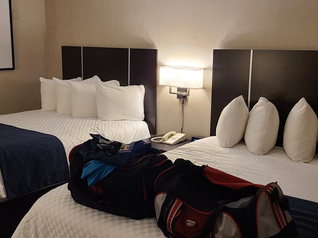 斯通克罗夫特酒店主图