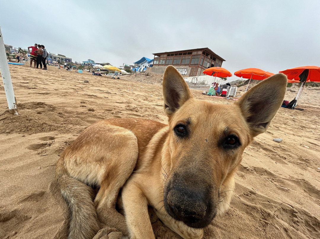 Mirage Surf Morocco-Tamraght必去景点