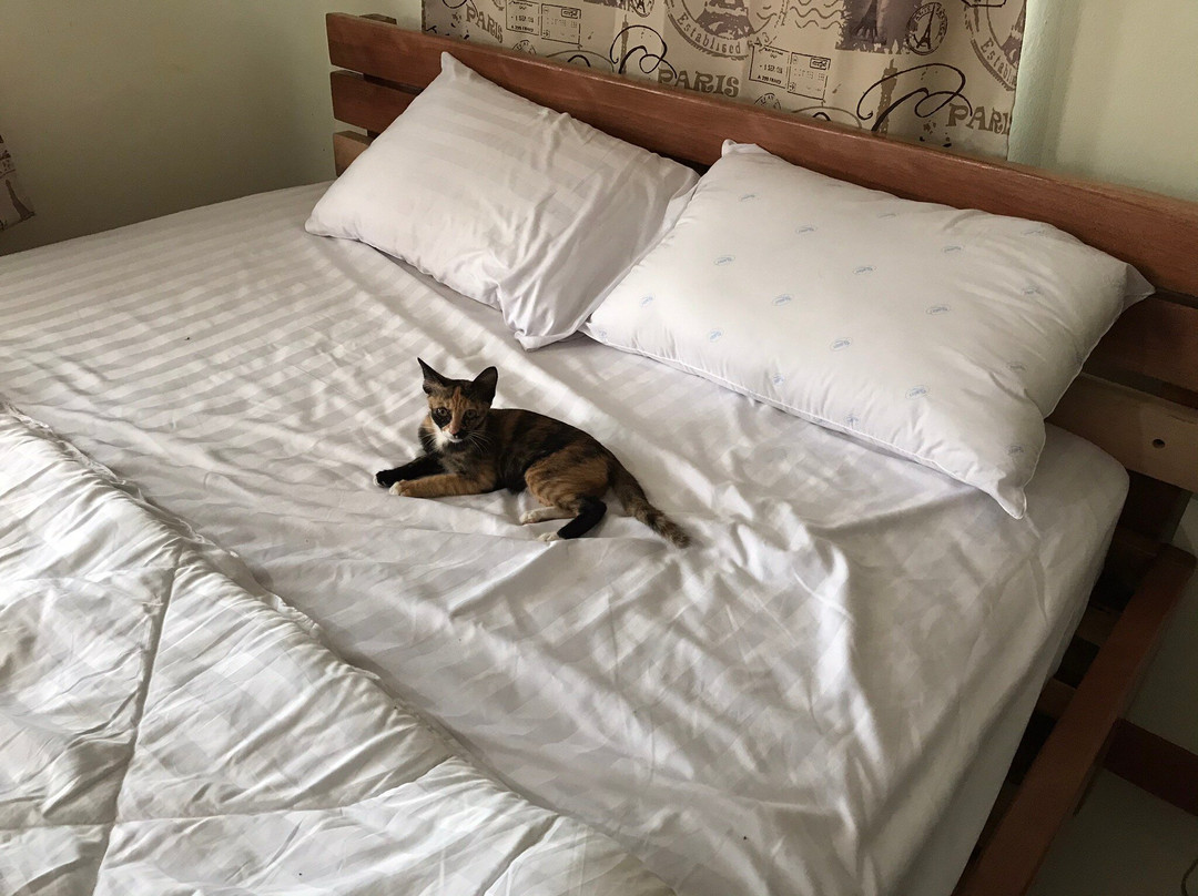 猕猴桃诗琳通度假村