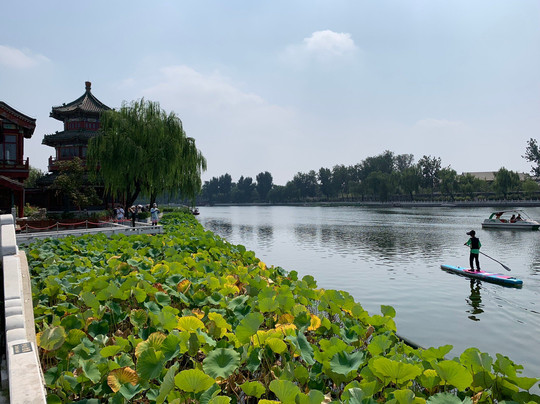 后湖-北京市必去景点