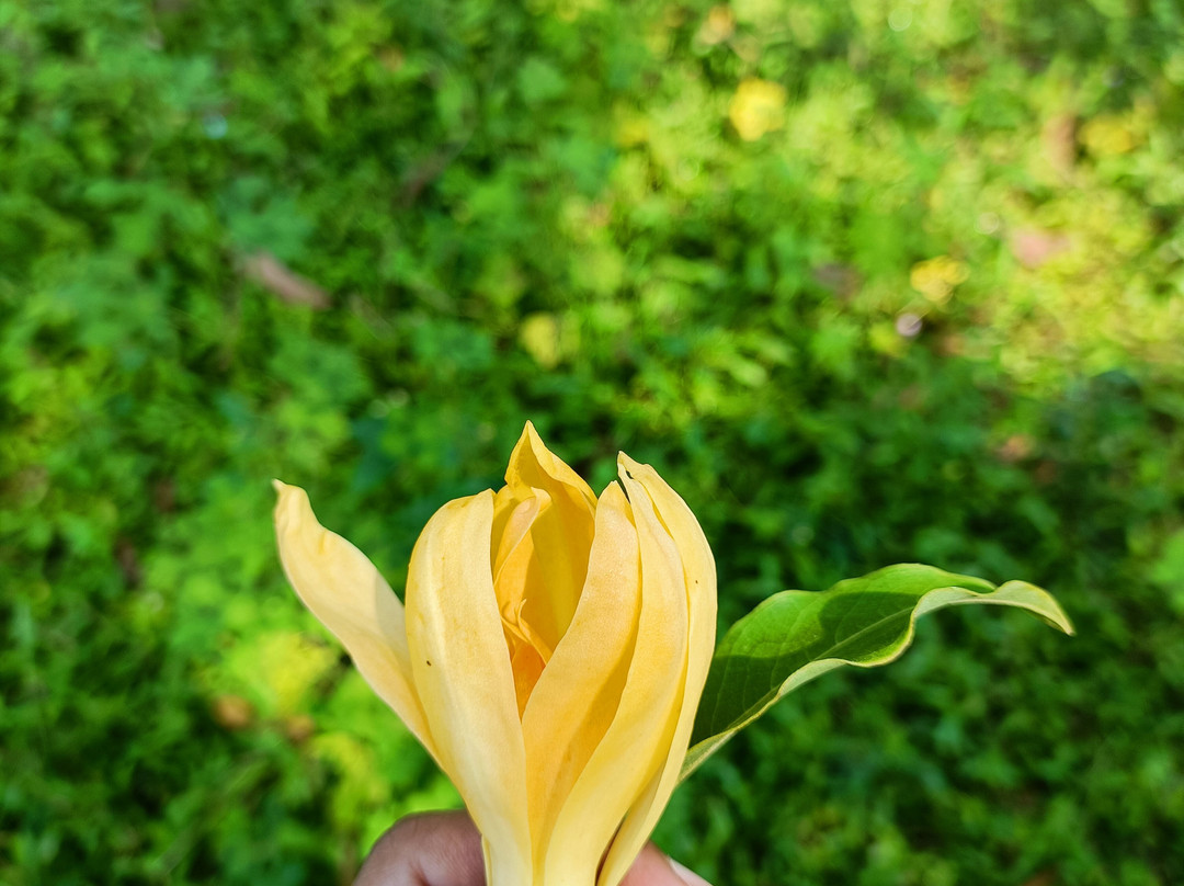 Dirghayu Farms Agri Resort Pvt. Ltd.主图