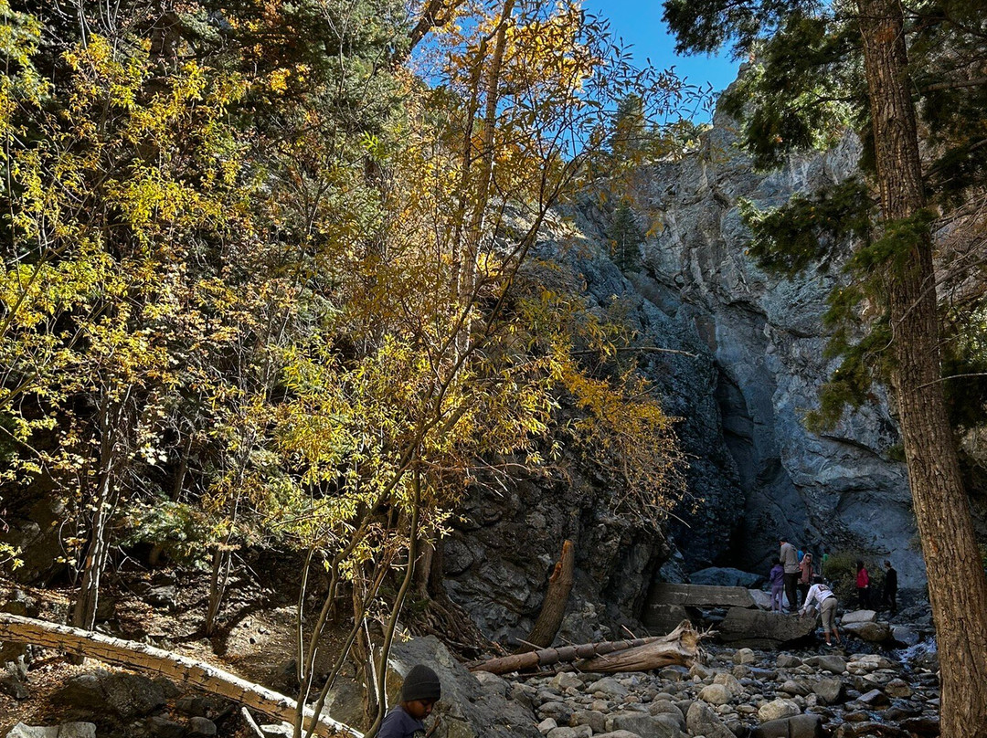 Zapata Falls-Mosca必去景点