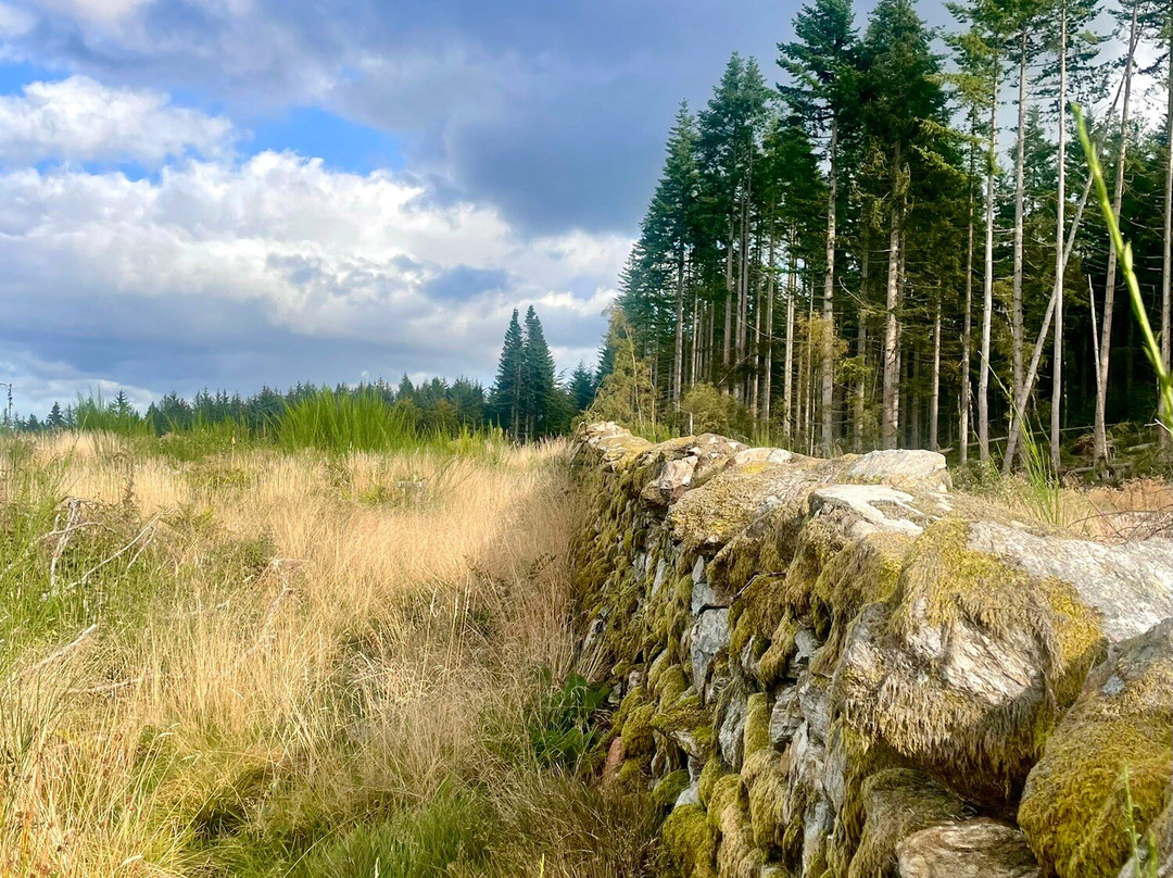 Scolty Hill-Banchory必去景点