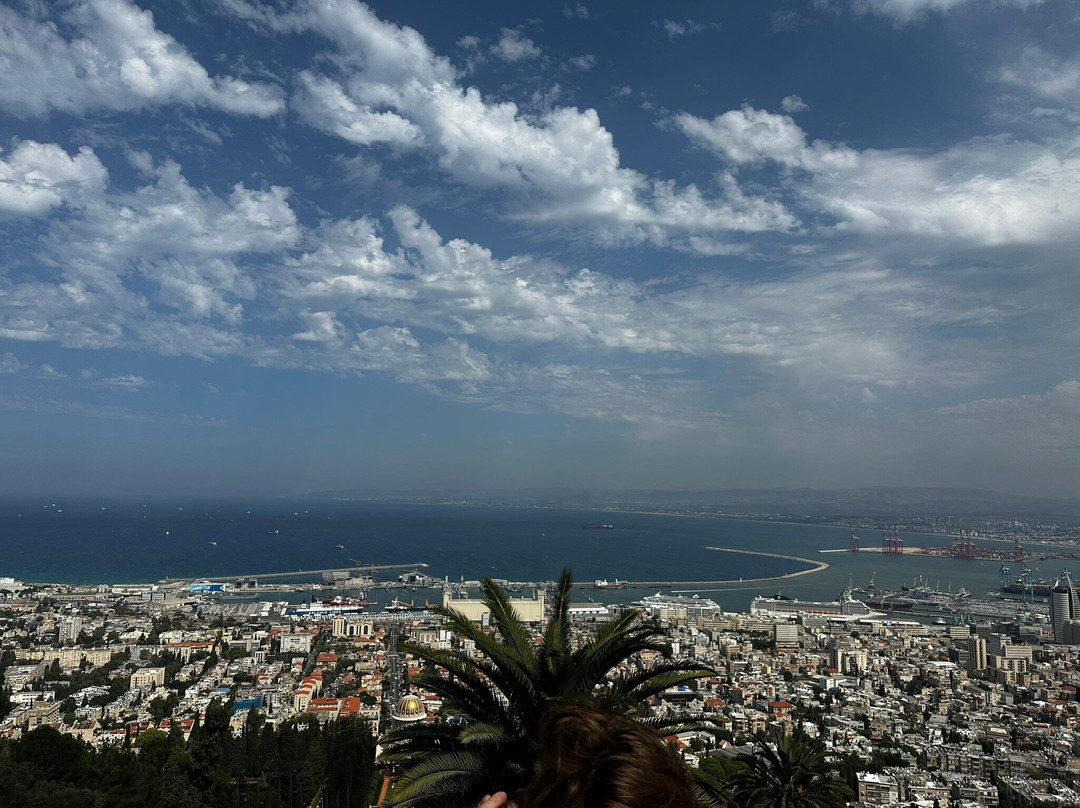 Biblical Treasure Tours with Michael Oestermann-特拉维夫必去景点