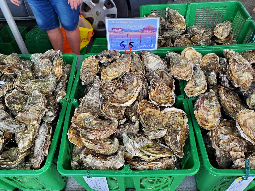 Grand Marché-La Reole必去景点