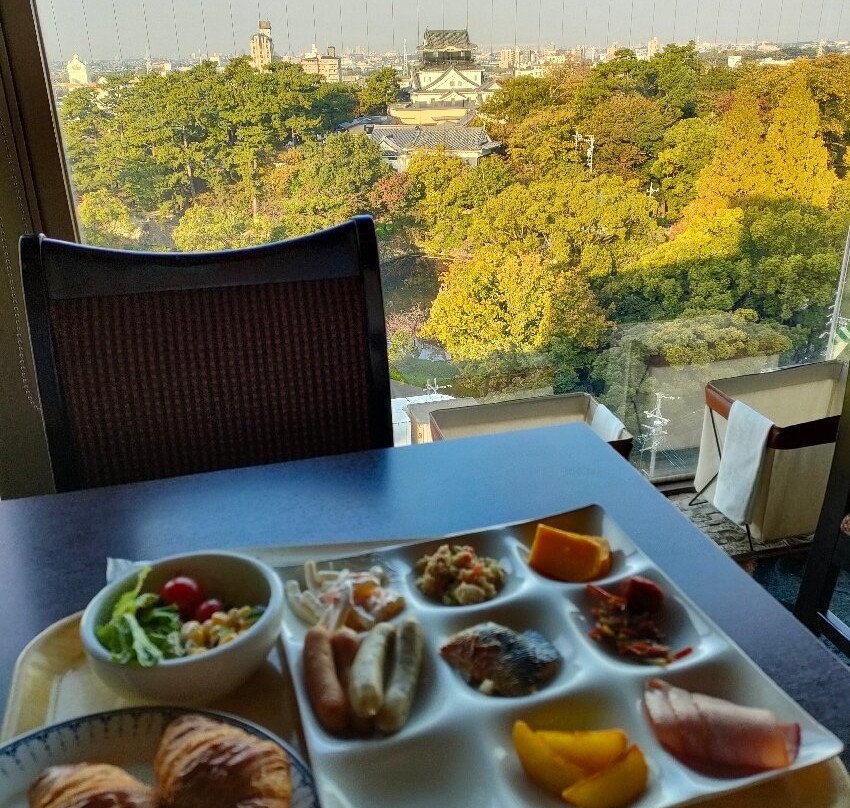Okazaki New Grand Hotel主图