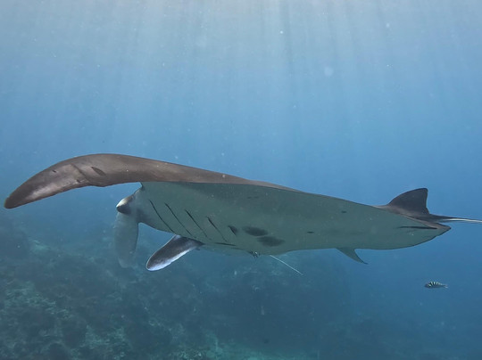 Family Trips Bali-乌布必去景点