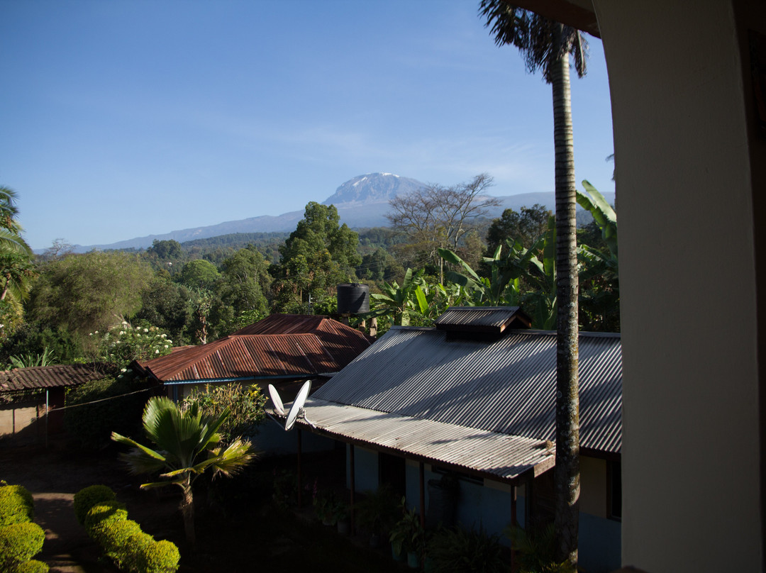 Shimboni Africa-莫西必去景点