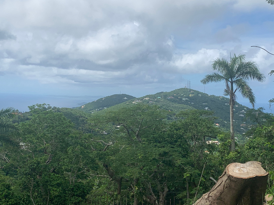 Big Love Taxi-夏洛特阿马利亚必去景点