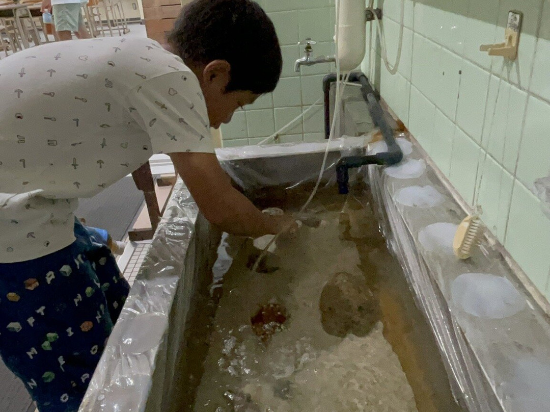 Muroto Haiko Aquarium-室户市必去景点