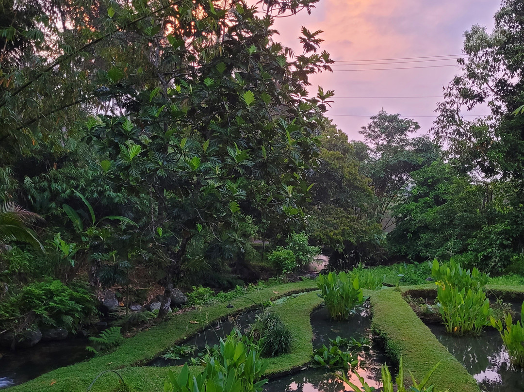 巴厘岛生态度假村主图