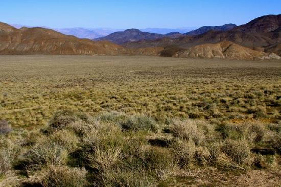 Geologist's Cabin-死亡谷国家公园必去景点