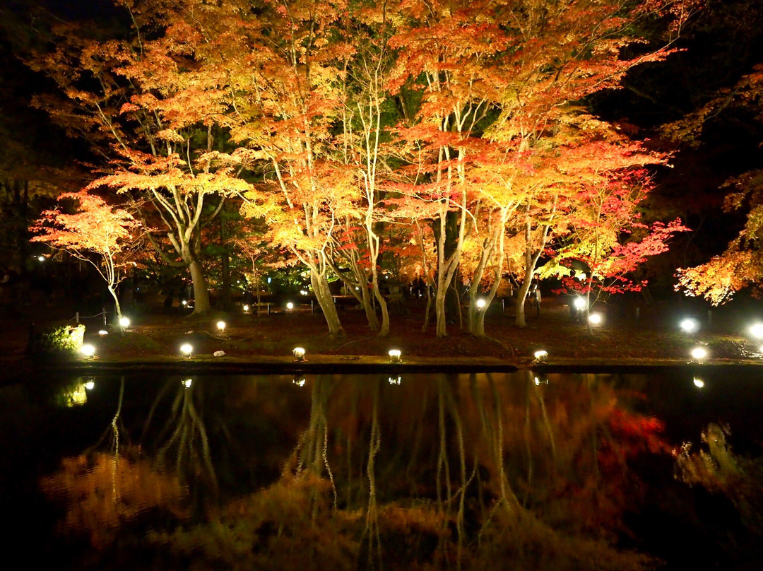 Sogi Park-土岐市必去景点