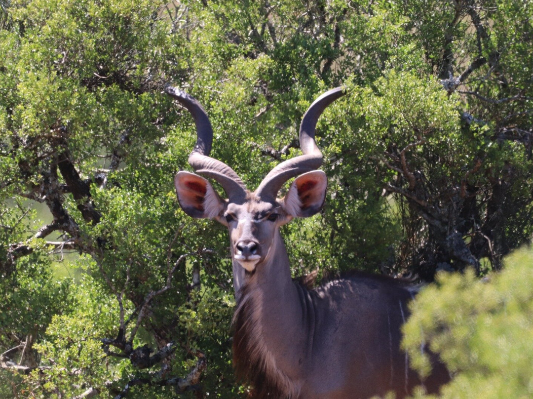 Zasendle Adventures-阿多必去景点