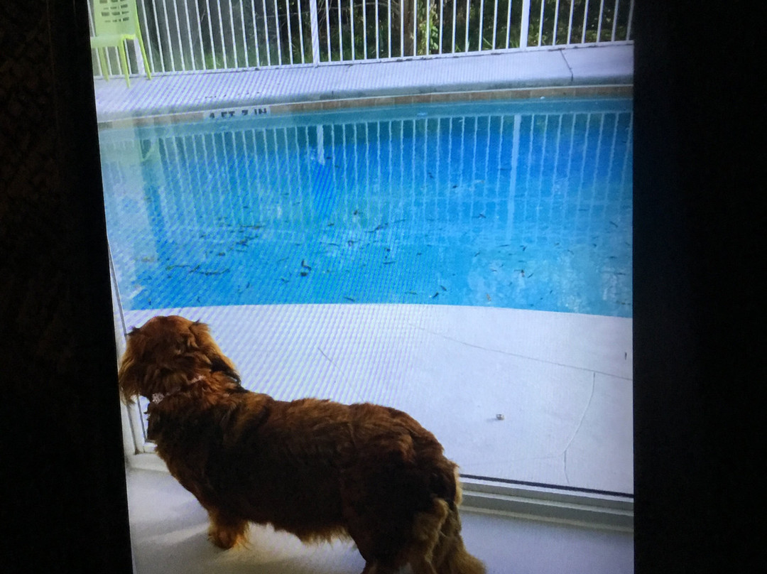 Best Western Waldo Inn & Suites主图